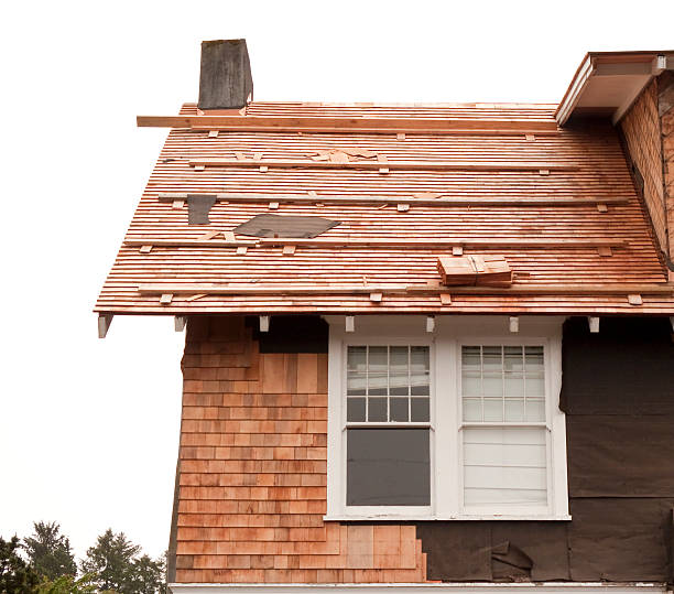 Best Historical Building Siding Restoration  in Sausalito, CA